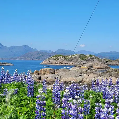 Hotell Statles Rorbu- Og Konferansesenter As Leknes